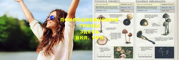 MDMA Premium VHQ Абинск