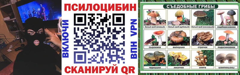 blacksprut онион  Талдом  Псилоцибиновые грибы Psilocybine cubensis  дарнет шоп 